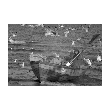 Miejsce 1. - Adam Fleks